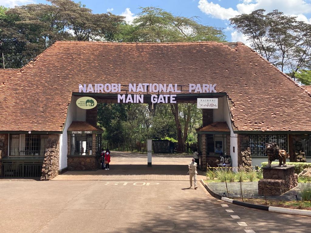 What to Know Before Visiting Nairobi National Park: A Complete Traveler’s Guide